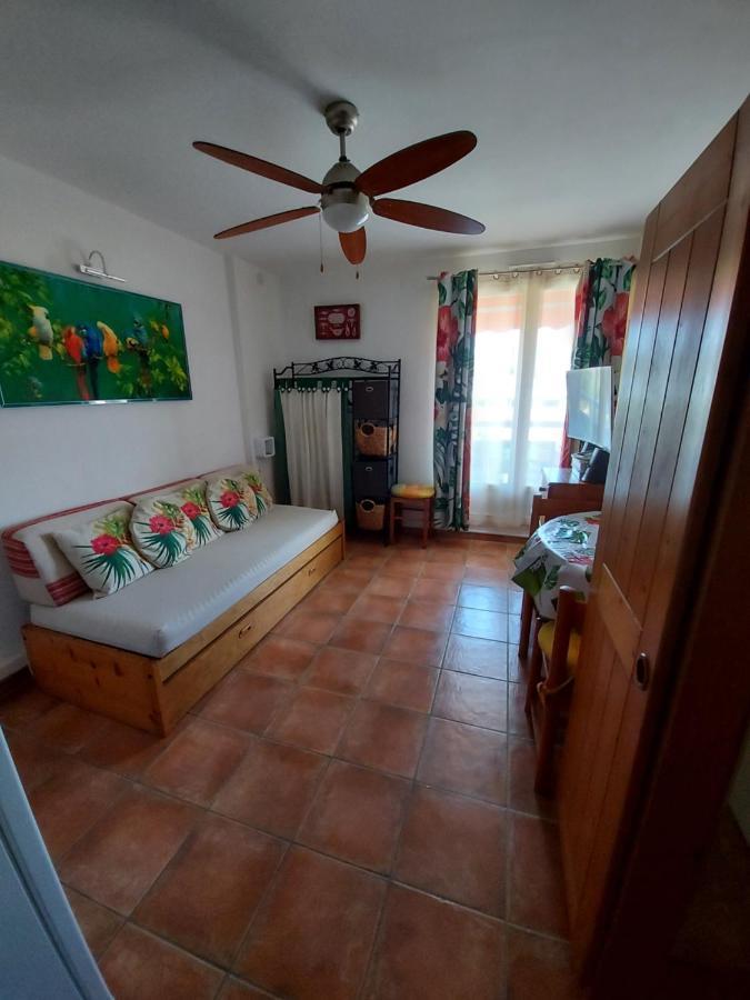 T2-Clim-Fibre-Garage 2,30 X 4,95 X 1,90 A La Faviere Daire Bormes-les-Mimosas Dış mekan fotoğraf