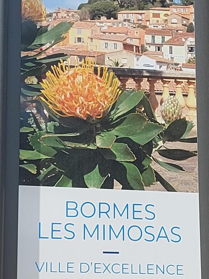 T2-Clim-Fibre-Garage 2,30 X 4,95 X 1,90 A La Faviere Daire Bormes-les-Mimosas Dış mekan fotoğraf