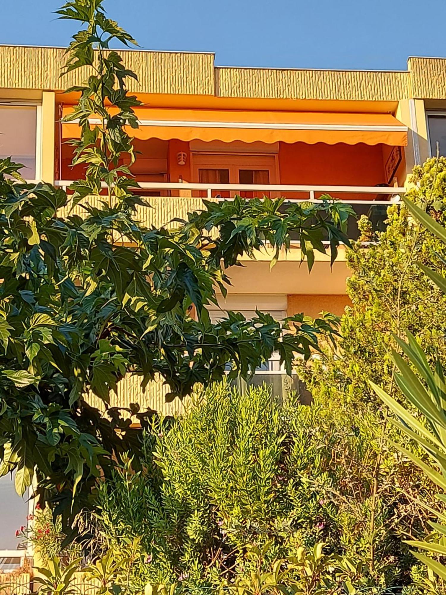 T2-Clim-Fibre-Garage 2,30 X 4,95 X 1,90 A La Faviere Daire Bormes-les-Mimosas Dış mekan fotoğraf